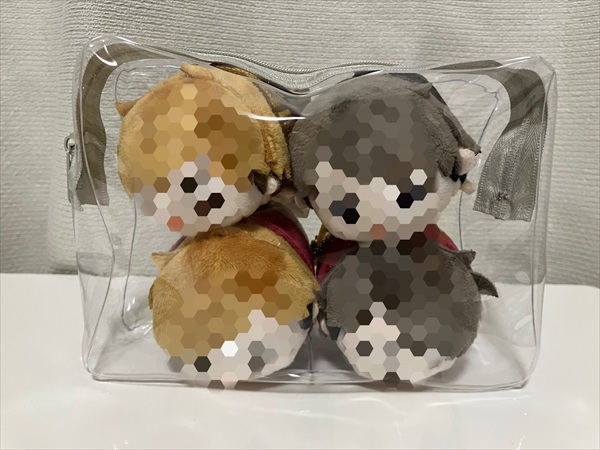 ダイソーのぬいポーチにもちもちマスコットを4体詰め込んだ様子。みっちりおさまっている