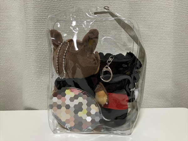 ダイソーのぬいポーチにぬいぐるみ2体と缶バッジを入れている様子