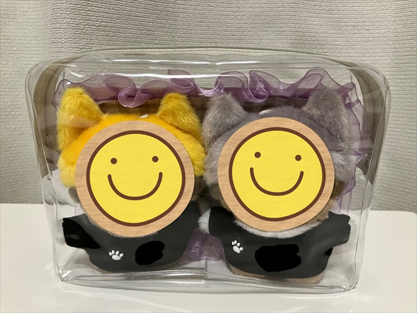 100均ダイソーポーチに、ちみけもが2体収納されている。ポーチ内がデザインペーパーとリボンでデコってある。